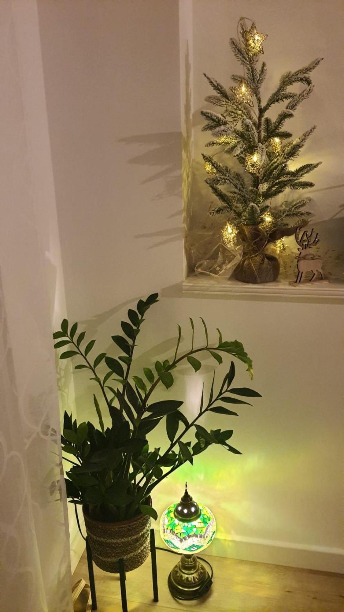 Apartman Lili Спліт Екстер'єр фото